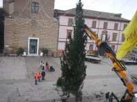 L’Albero di Natale