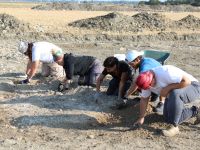 Progetto archeologico “Cervia”