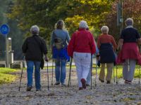 Corso di allenamento cognitivo per un  buon invecchiamento