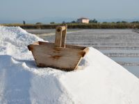 MUSA incontra Natura Biodiversità e Sale