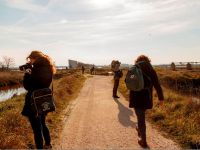 A MUSA In Sale d'Inverno