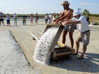 Insieme ai salinari alla Salina Camillone