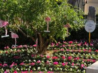 Cervia Città Giardino Giro d’Italia