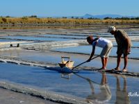 Tornano Salinaro per un Giorno e le visite guidate alla salina Camillone