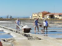 Alla Salina Camillone tornano  le visite guidate  gratuite