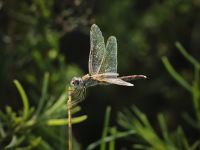 Se conosci la Natura, la ami, e se la ami la proteggi.