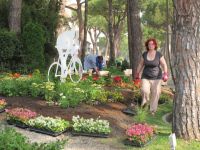 46° compleanno per Cervia Città Giardino