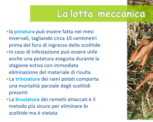 lotta_meccanica.png