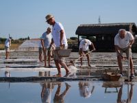 Insieme ai salinari alla Salina Camillone