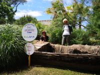 Cervia Città Giardino.  Comacchio a Milano Marittima