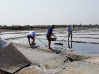 La Salina di Cervia Patrimonio Immateriale UNESCO