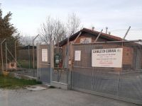 Canile accordo per la custodia e la cura dei cani randagi del comune di Cesenatico