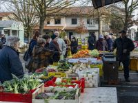 Inaugurato il mercato sperimentale a Villa Inferno