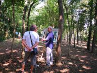 Alla scoperta del Bosco del Duca d'Altemps  passeggiate ecologiche nella natura del Duca con Alteo Missiroli